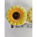 RARE VINTAGE NICE MCM MID CENTURY FIGURAL SUNFLOWER FLOWER SALT & PEPPER SHAKERS