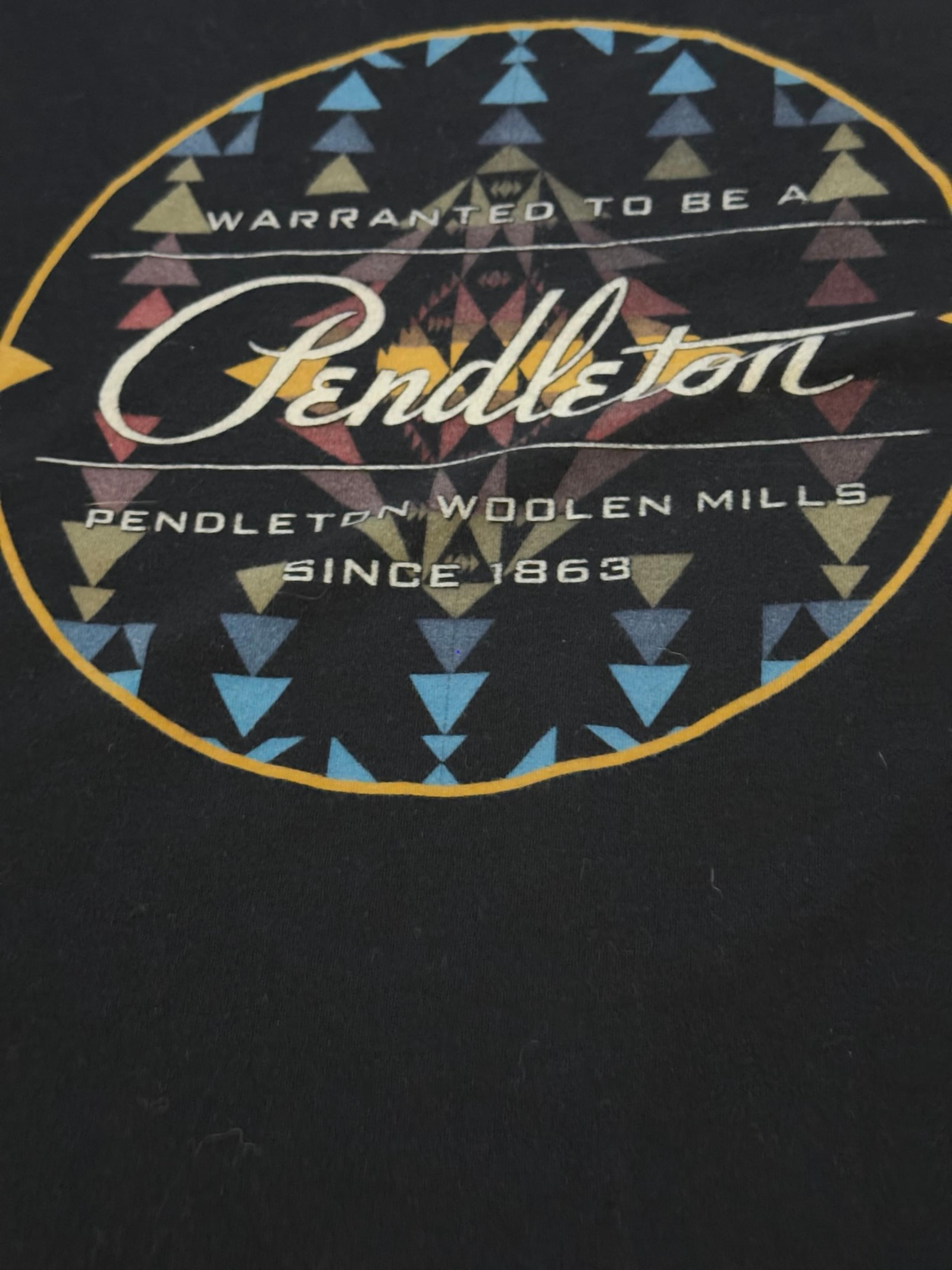 Men’s Pendleton Full Circle T-Shirt (med.)
