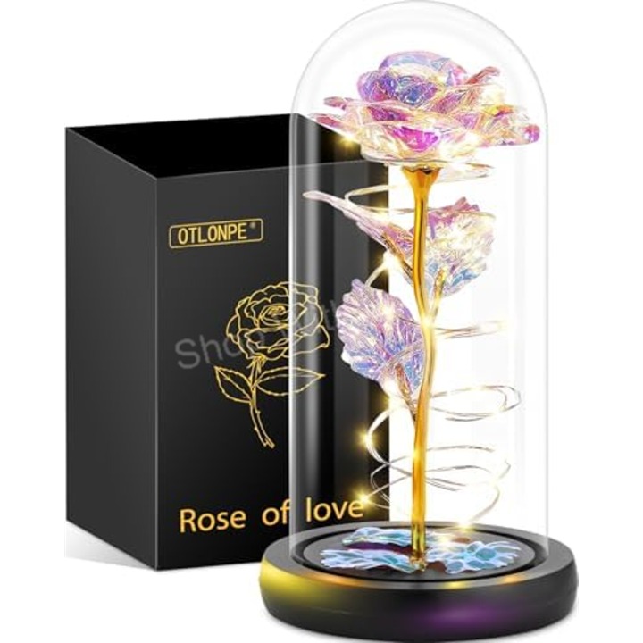 Rose Flower Valentines Day Gifts for Her, Birthday Gifts for Women Mom Wife Girl
