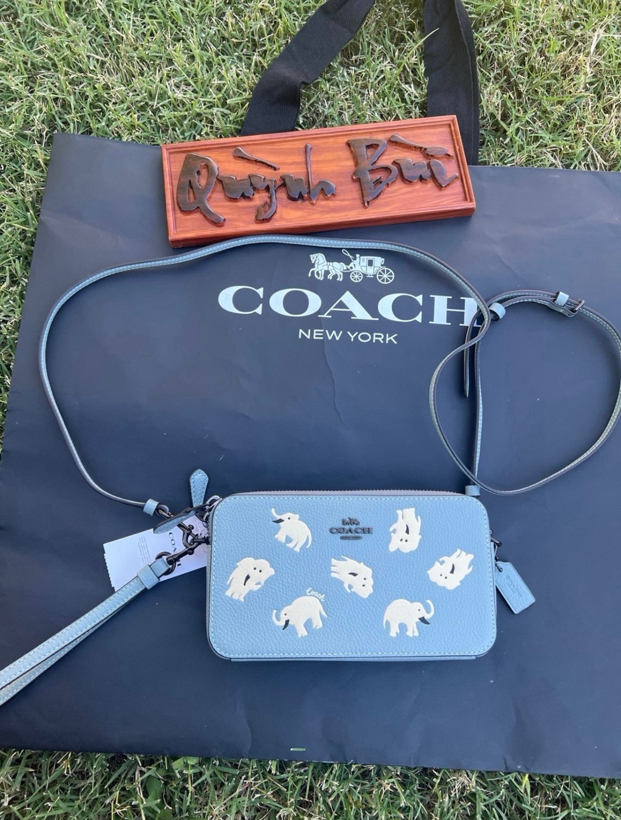 Coach Elephants Kira Sage Leather Crossbody Bag C6826