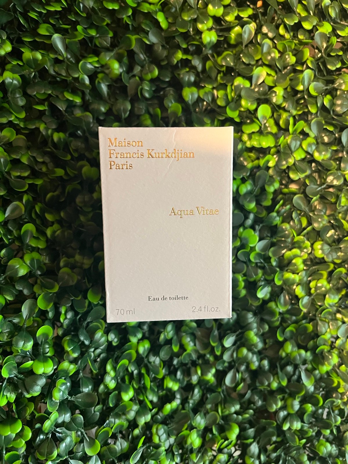Maison Francis Kurkdjian Aqua Vitae
