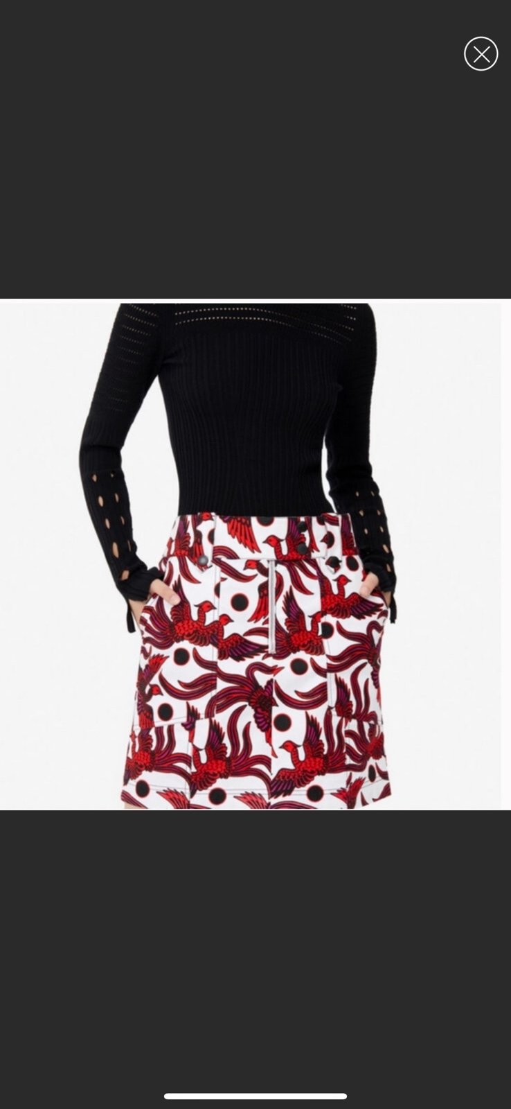 Kenzo Flying Phoenix skirt