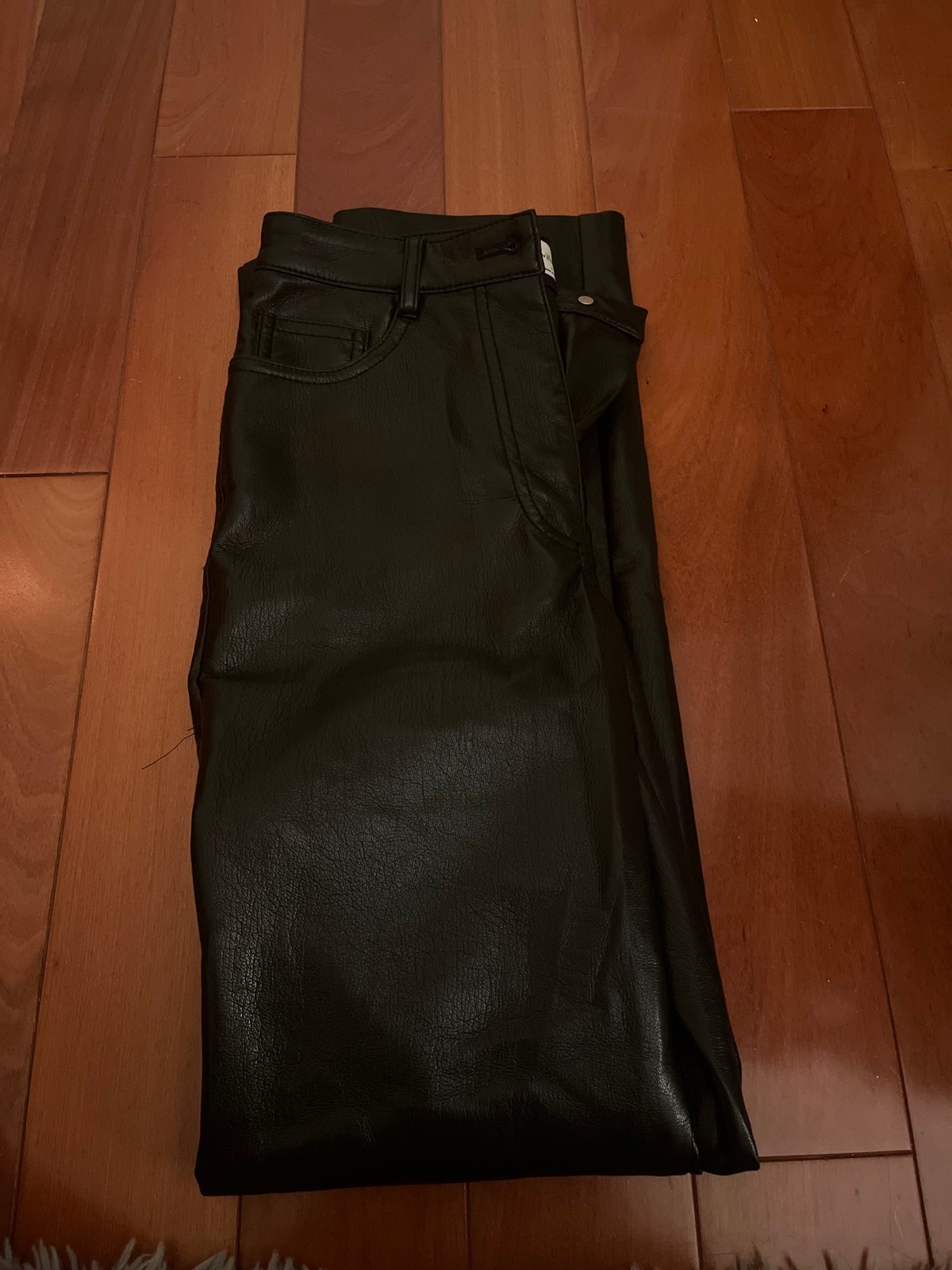 Aritzia leather pants