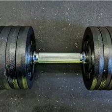 52.5 lb adjustable dumbbell