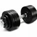 52.5 lb adjustable dumbbell