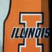 NCAA Illinois Car Mat 2 pieces