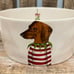 Rae Dunn Dachshund Christmas Dog Bowl Sweater Mistletoe
