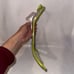 Bissell 2987 TurboClean Powerbrush Pet Carpet Cleaner Nozzle Replacament Parts