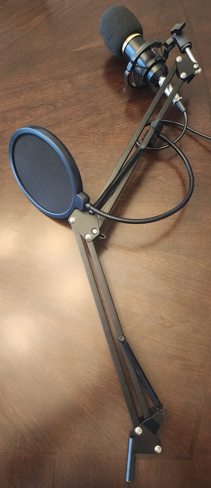 Microphone with stand