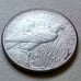 1926 Peace Silver Dollar • .900 Silver • Better Date • Light Toning • CH UNC