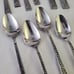 Hanford Forge FLORECIENTE Lot of 20 Pieces Forks Knives Spoons Floral Stainless