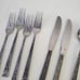 Hanford Forge FLORECIENTE Lot of 20 Pieces Forks Knives Spoons Floral Stainless