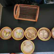 Vintage Rattan Pressed Butterfly Coaster Set Lot of 6 1970s retro