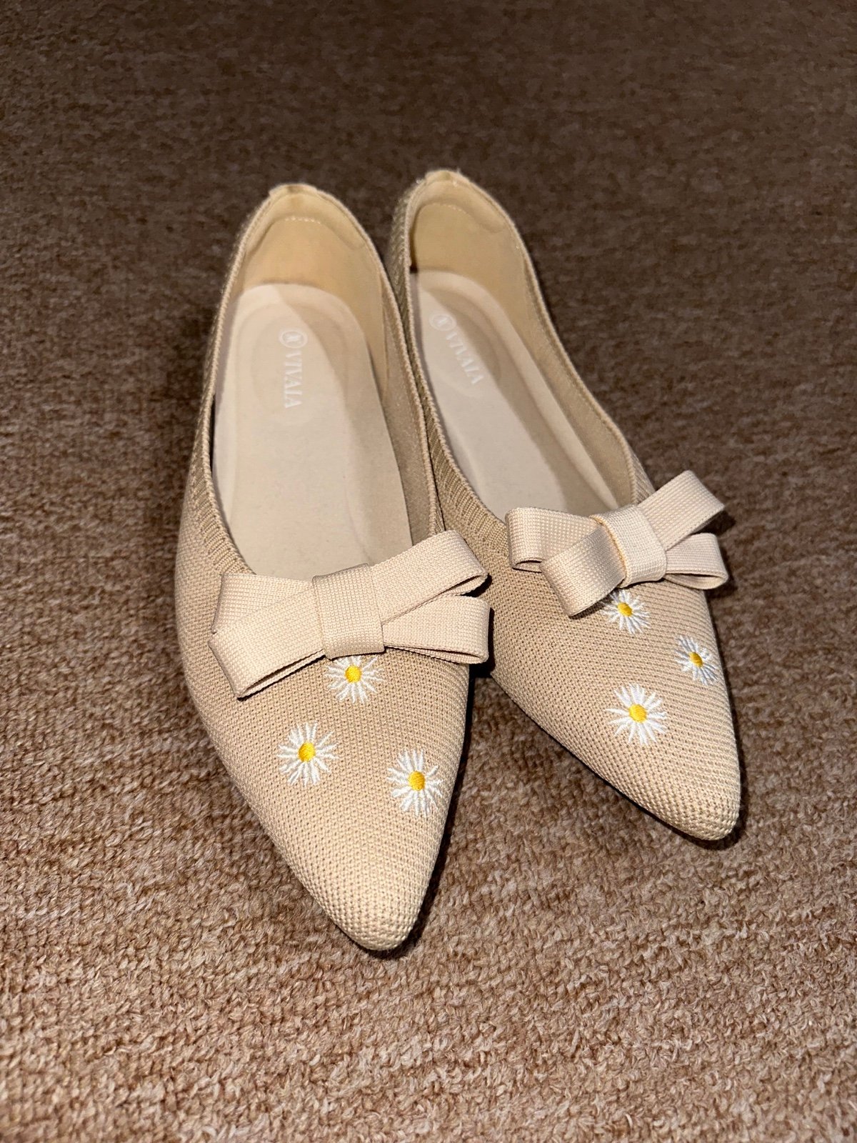 Vivaia Pointed-Toe Ballet Flats (Aria 5°)
