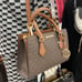 Michael Kors Small Sheila Satchel Crossbody Bag Brown NWT