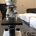 monocular LED student microscope 40x-1000x AMscope wf10x