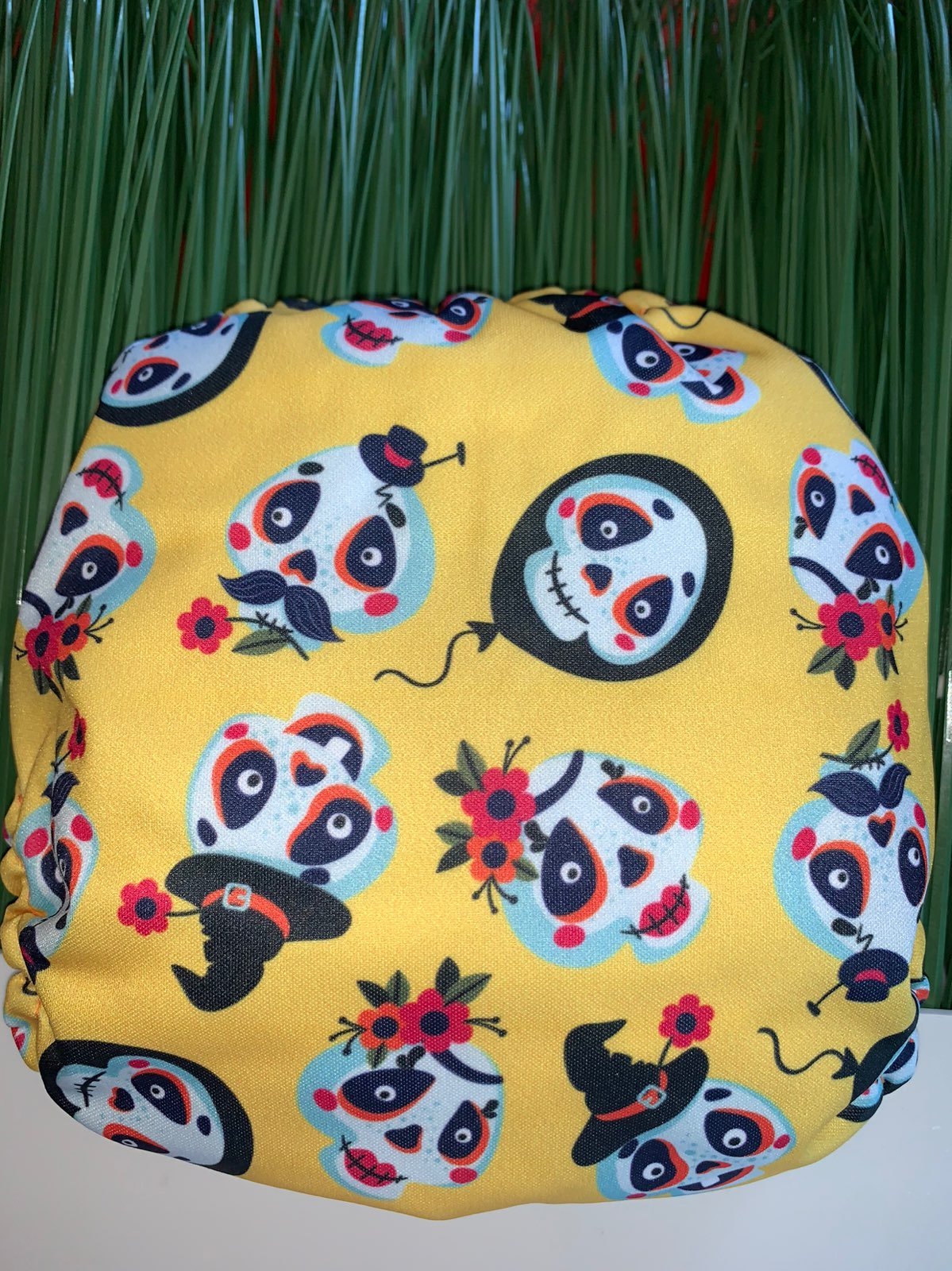 MAma koala skulls