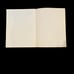 The Czech Texans The Texians & the Texans University of Texas SA 1983 Pamphlet