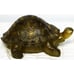 Malibu Natural Sun Powered Solar Accents Landscape Lighting Turtle Path Light