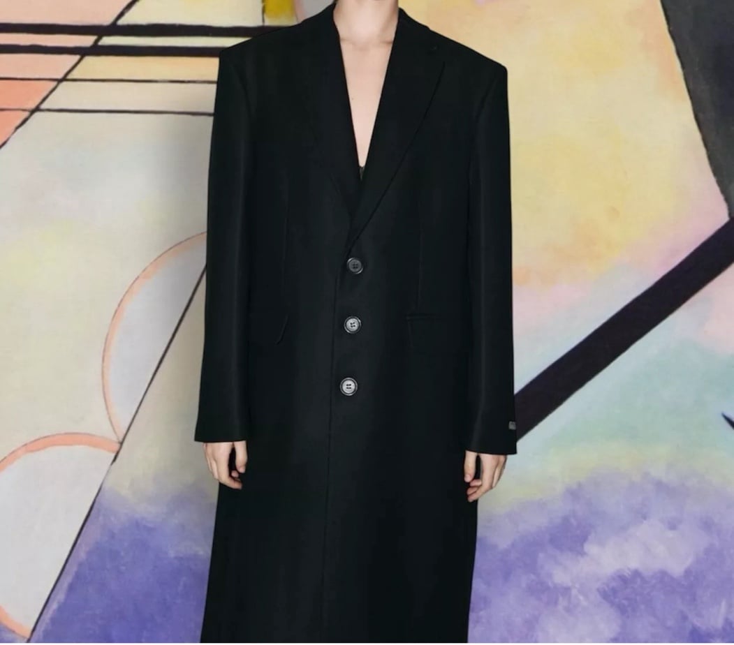 NWTZARA SIZE LARGE MENSWEAR STYLE COAT WITH LONG SLEEVES STEVEN MEISEL