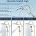 All Metal Shower Head, 10'' High Pressure Rainfall Shower Head/Handheld Gold Sho