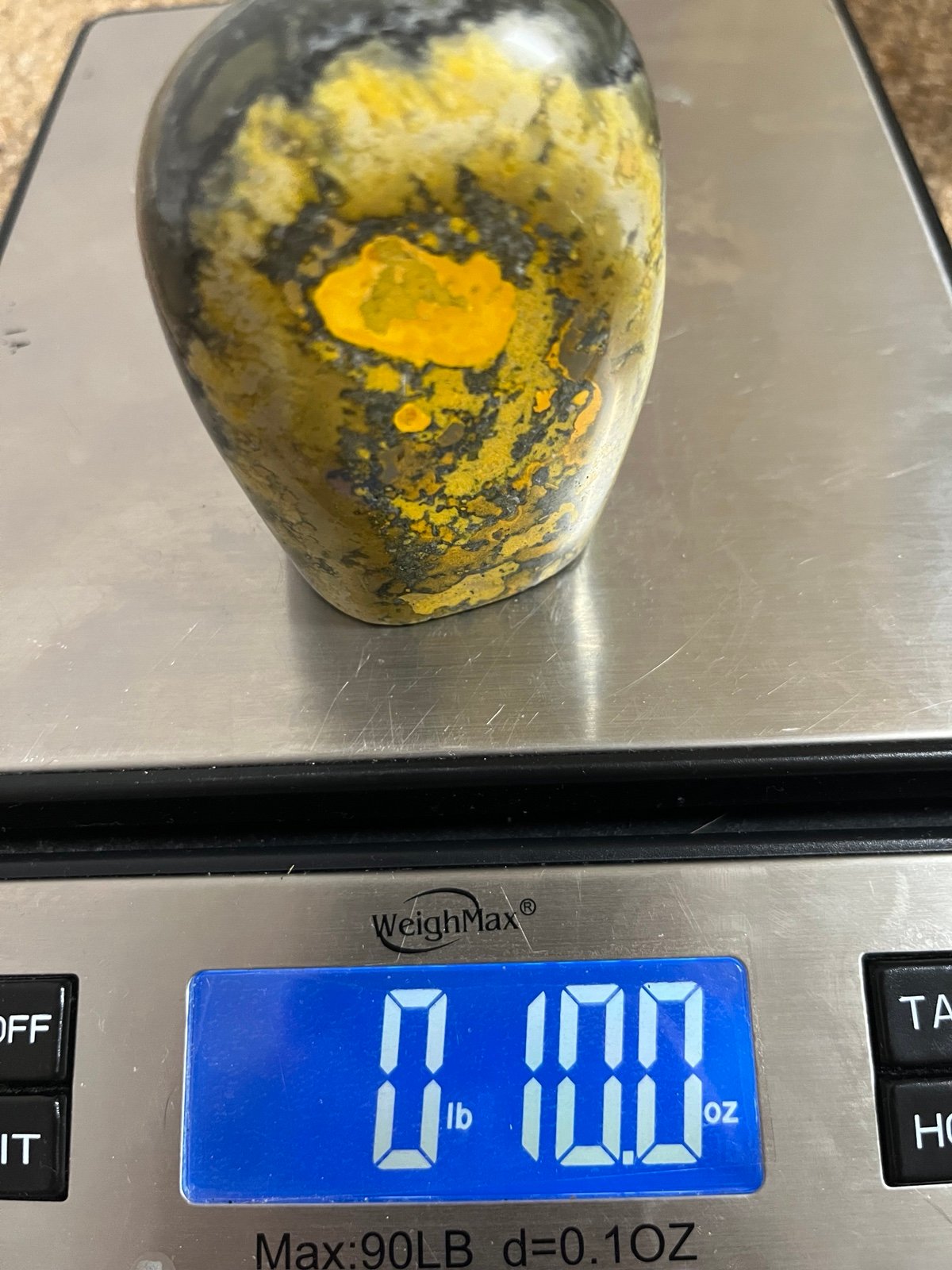 Bumblebee Jasper Freeform P