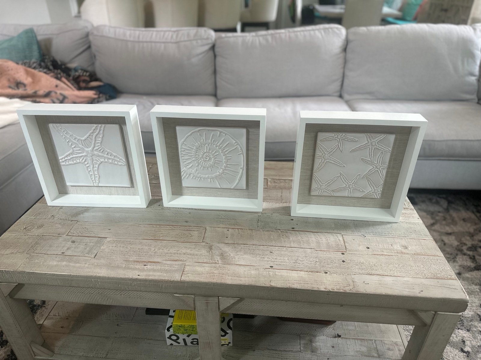 Coastal Themed Shadow Box Framed - 3 Piece Set