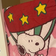 Rare Snoopy Hot Air Balloon Blanket Woodstock