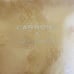 CARBON38 Metallic Beige Snake High Rise 7/8 Leggings- S