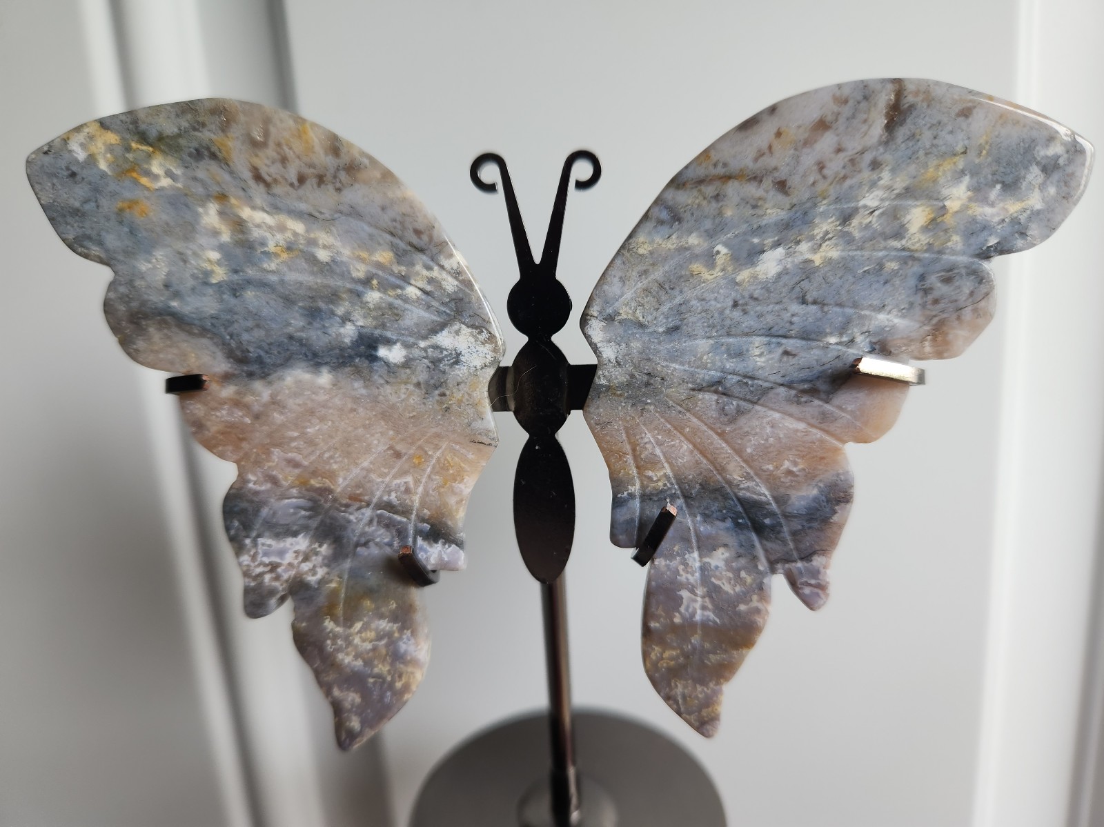 Ocean Jasper Butterfly Wings