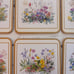 Six Traditional Vintage Coasters by Pimpernel Meadow Flowers