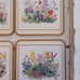 Six Traditional Vintage Coasters by Pimpernel Meadow Flowers