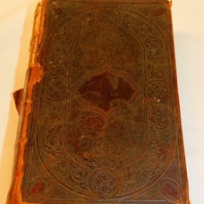 1873 Antique GERMAN BIBLE Die Bibel