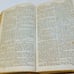 1873 Antique GERMAN BIBLE Die Bibel