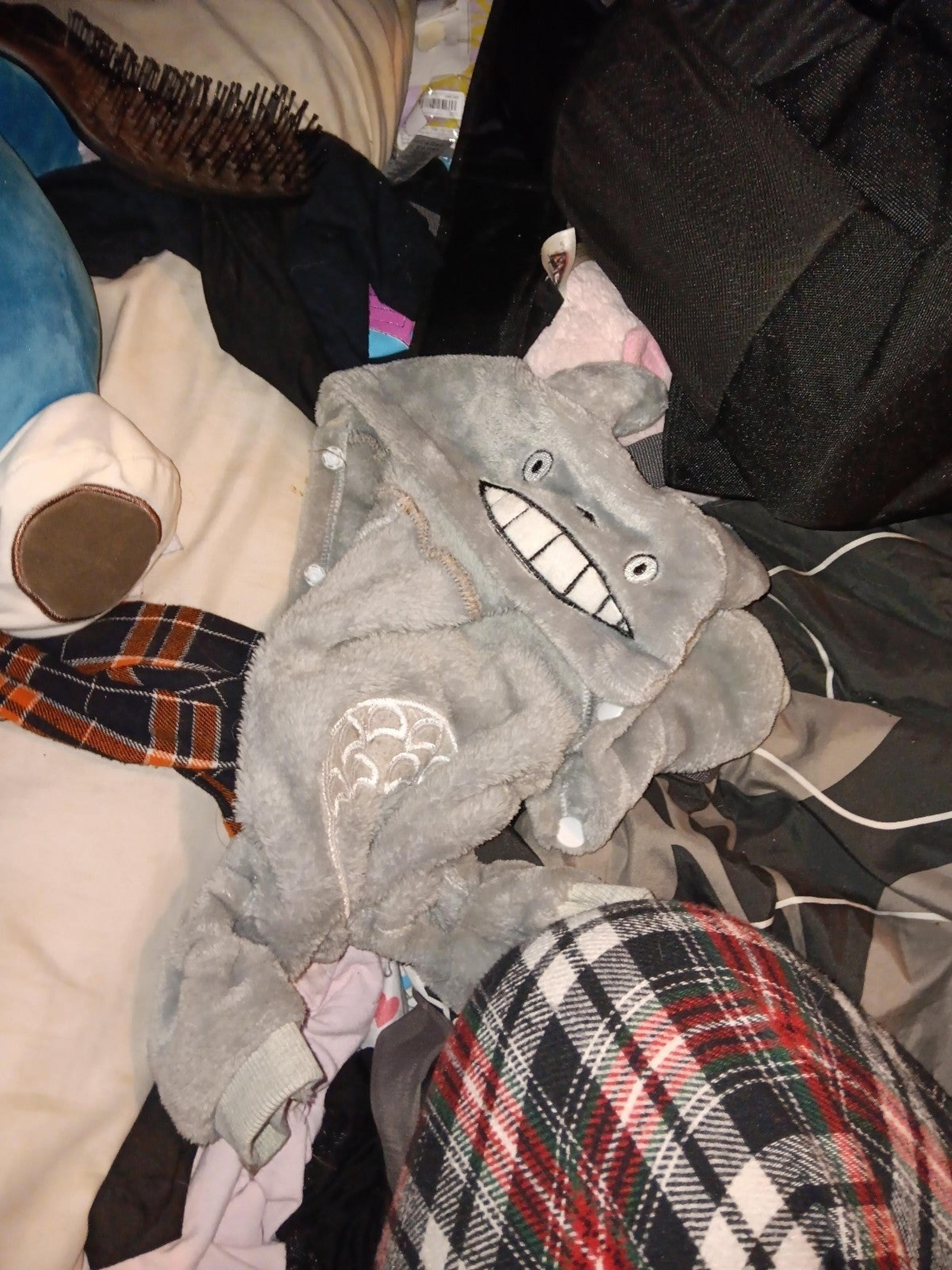 Totoro Dog Costume