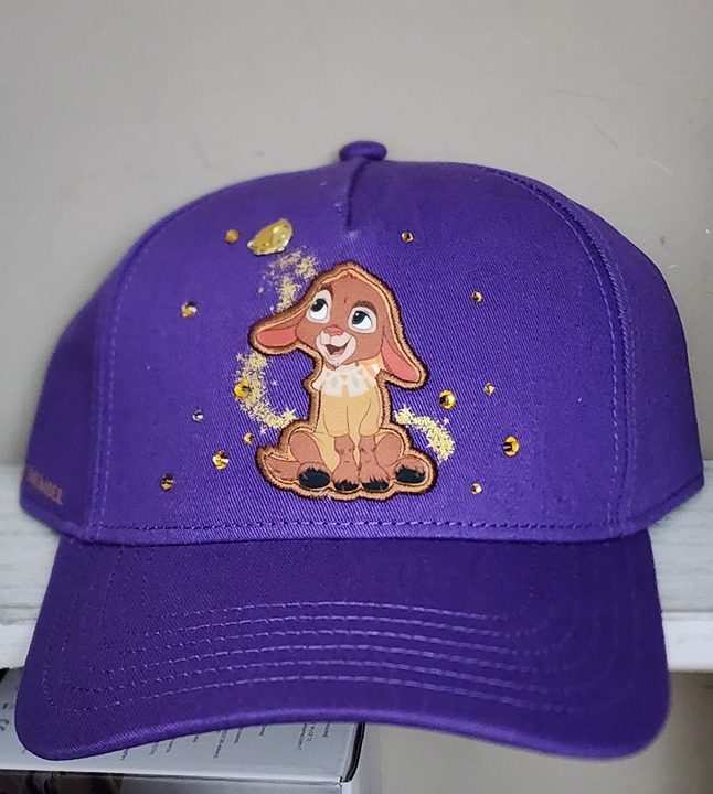 Disney Parks Wish Movie Cast Members Exclusive Baseball Hat NWT!