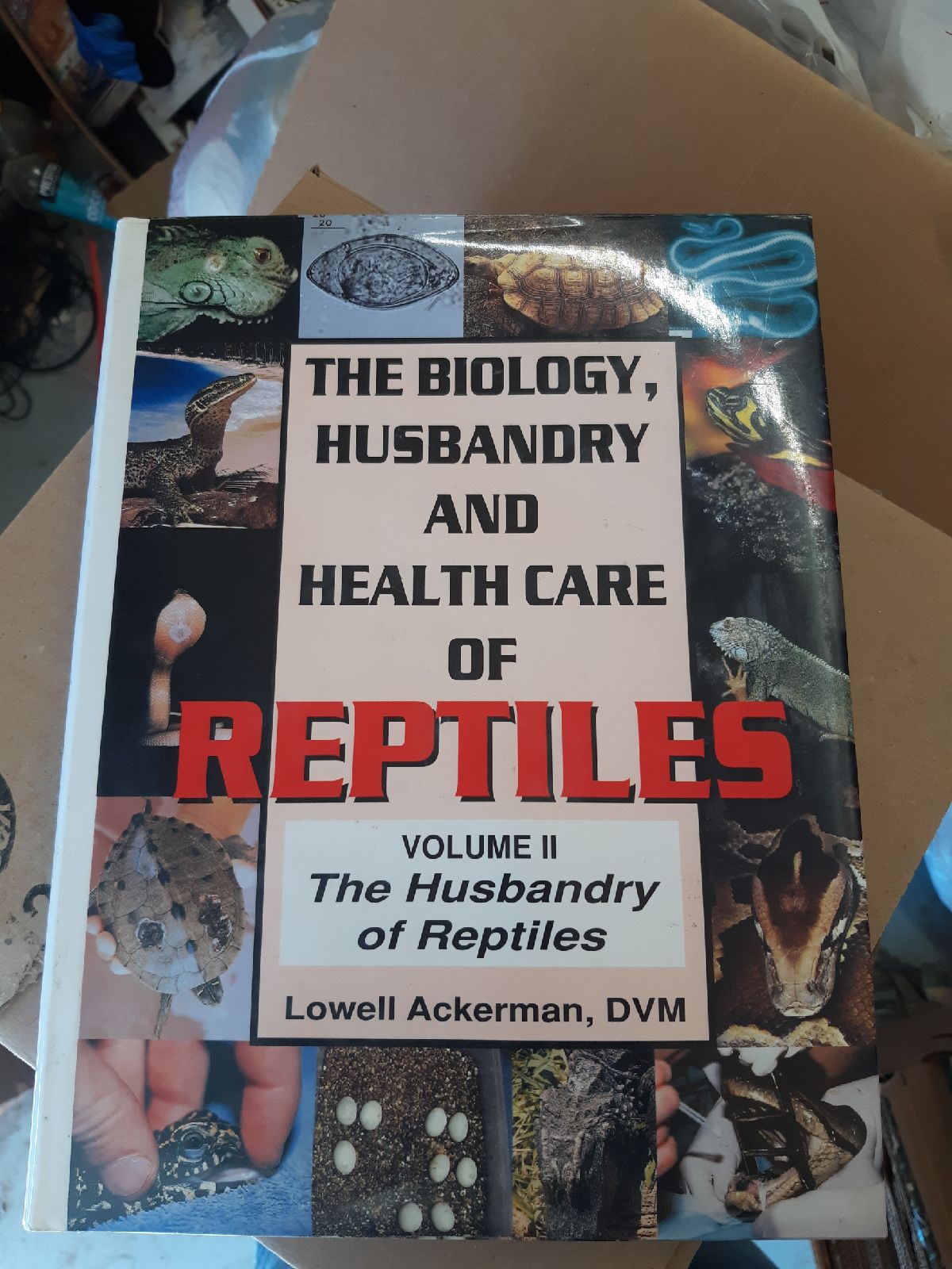 Reptiles Lizards VOLUME 2 Hardback Book