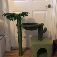 Cat Tree Cactus Cat Condo