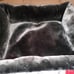 Chrome bones dog bed