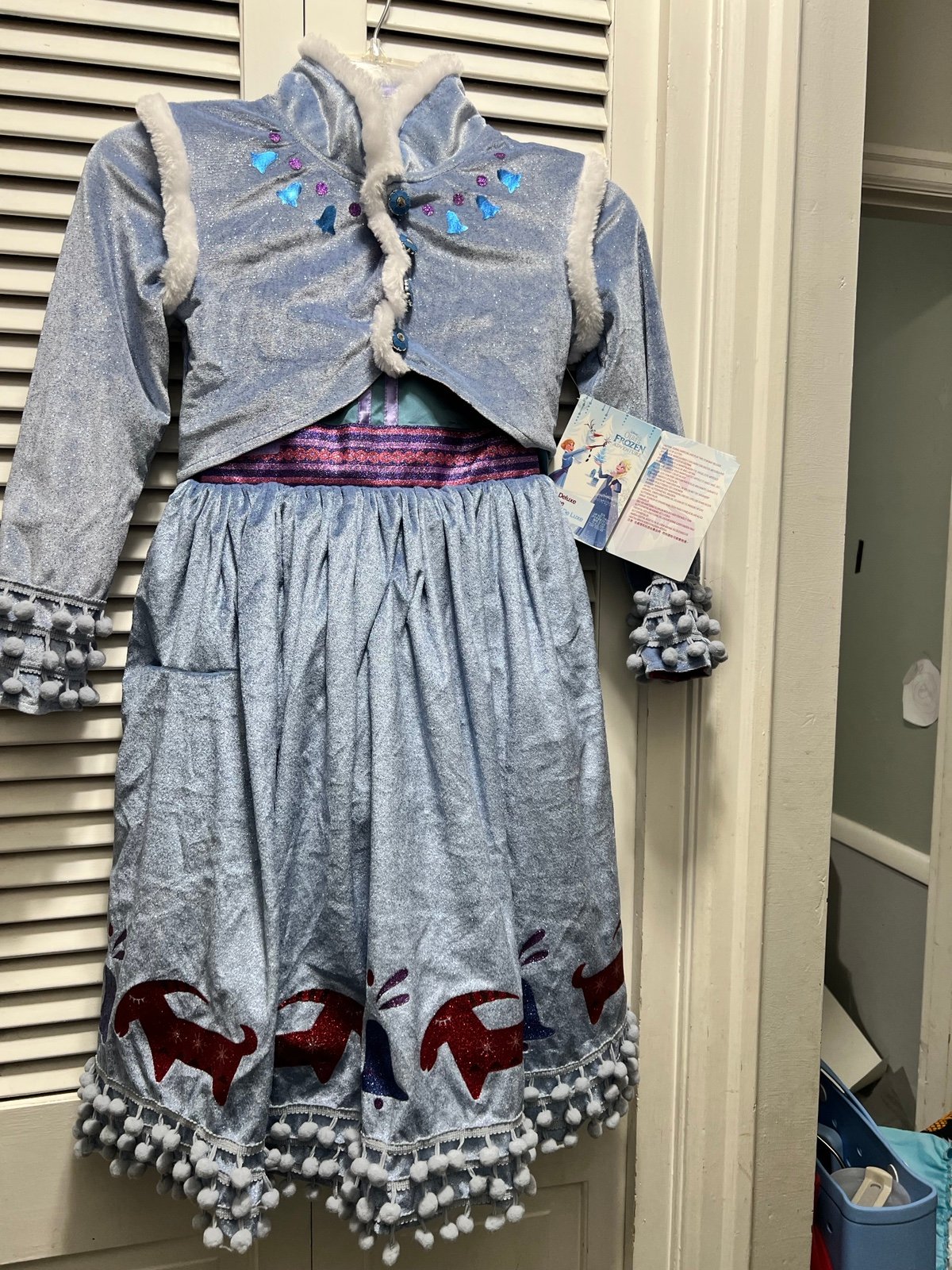 Disney Deluxe Ana costume size 5/6