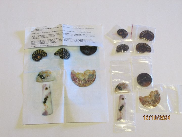 Ammonite, Koroit Opal, Ocean Jasper, Agate, Cabochon Variety Lot of 8 NOS
