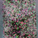 Dot glitter bundle