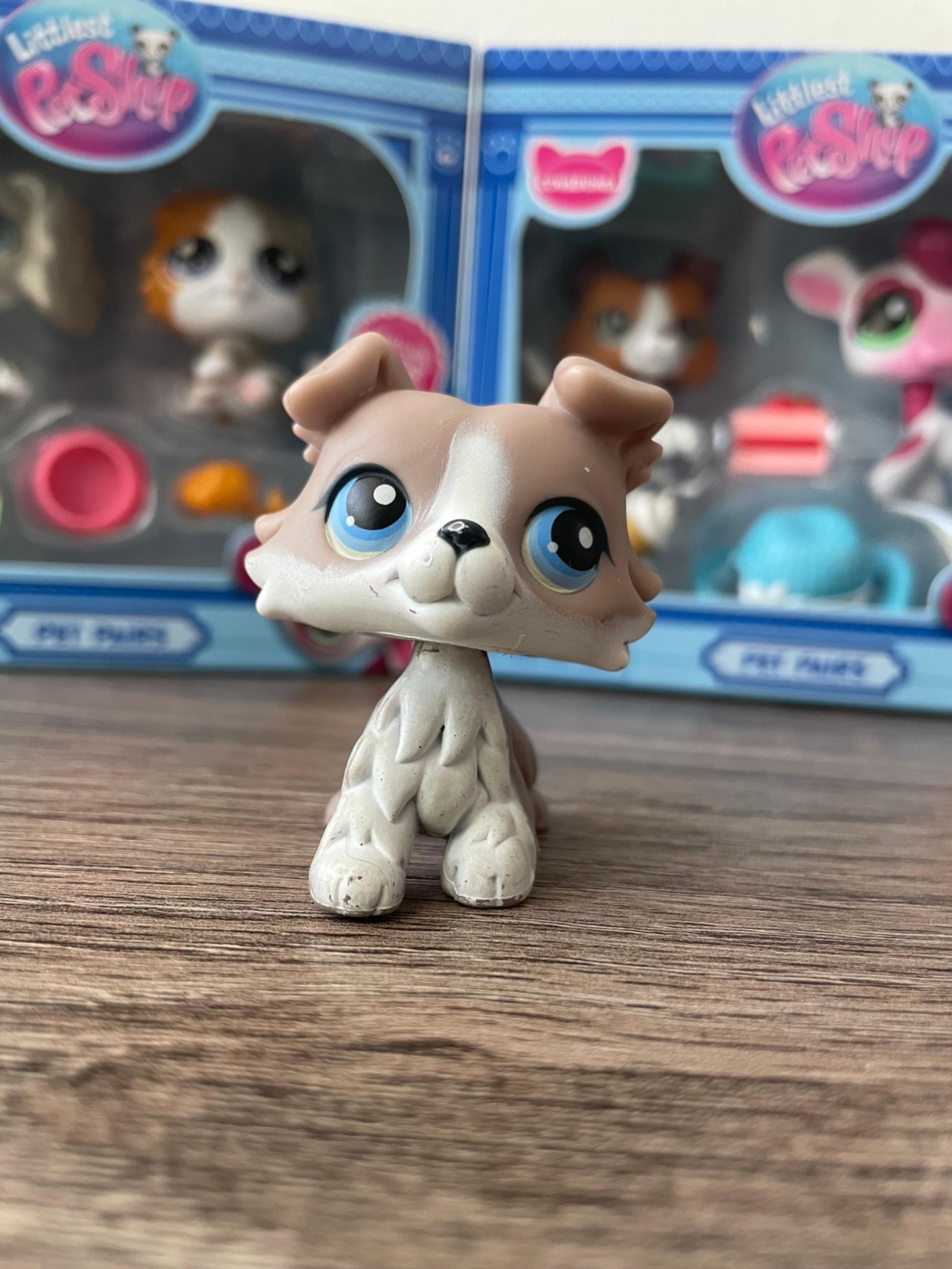 LPS Collie 67
