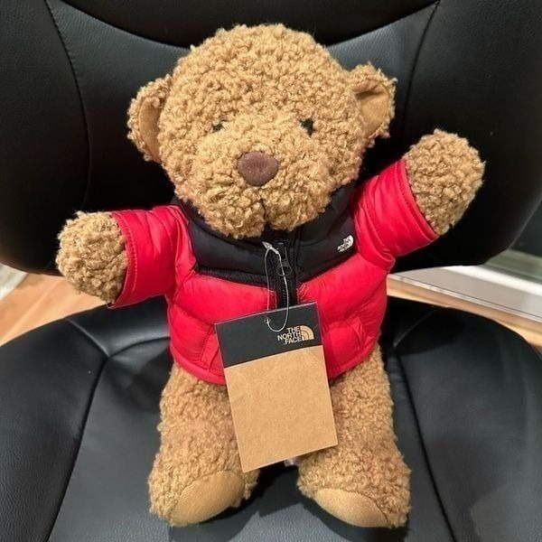 NWT The North Face Teddy Bear 30th Anniversary Red Nupste Jacket Very Rare