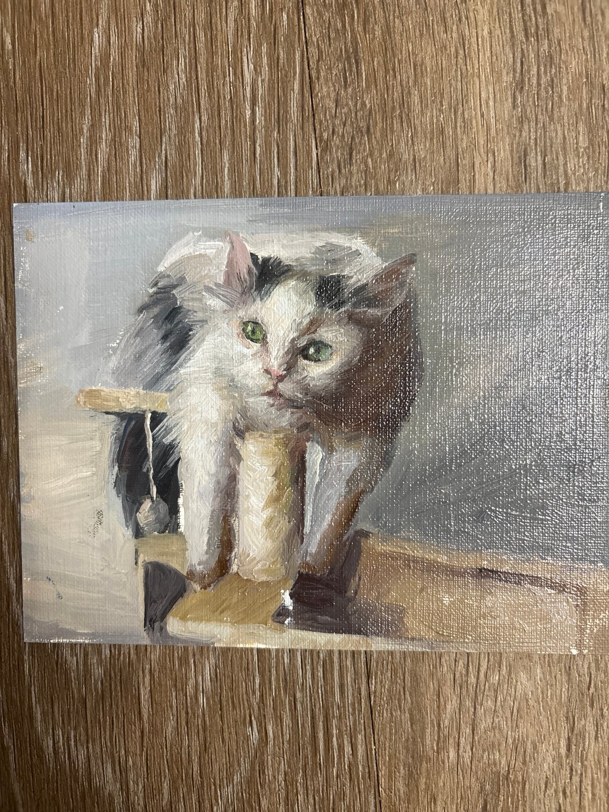 Oil painting-cat
