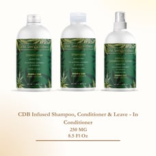 Wildseed Wellness 250 MG Infused Leave In Conditioner