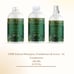 Wildseed Wellness 250 MG Infused Leave In Conditioner
