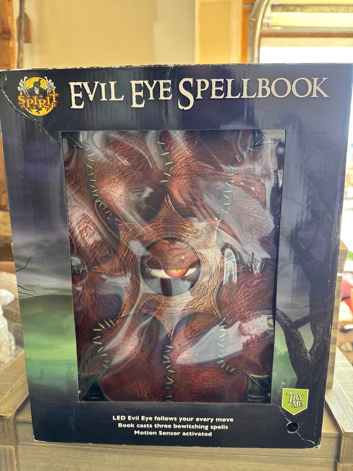 SPELL BOOK SPIRIT HALOWEEN