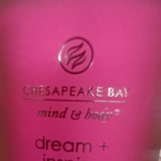QTY 2 Chesapeake Bay dream and inspire Candle neww