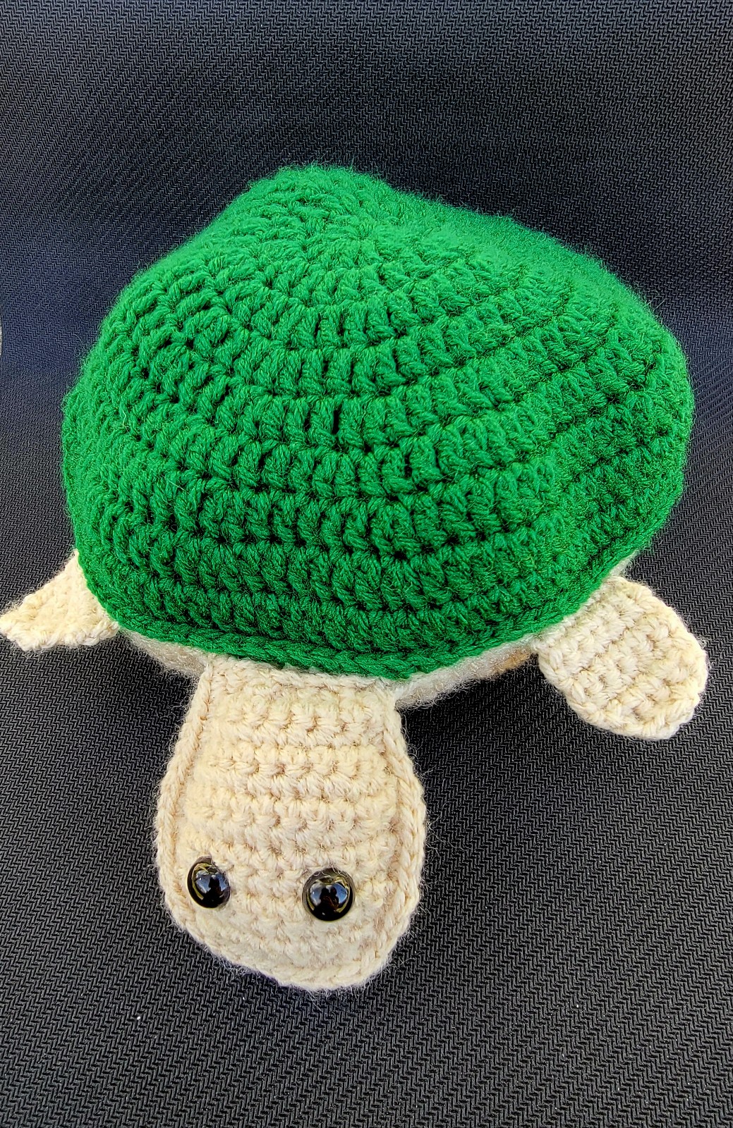 Turtle memory game